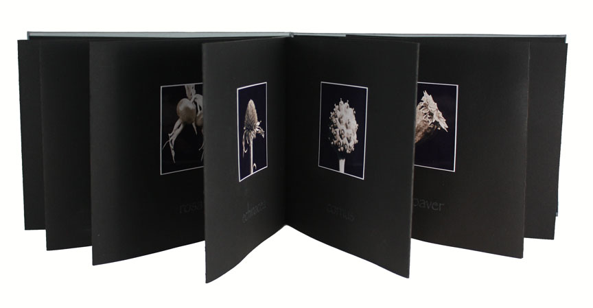 artist's book