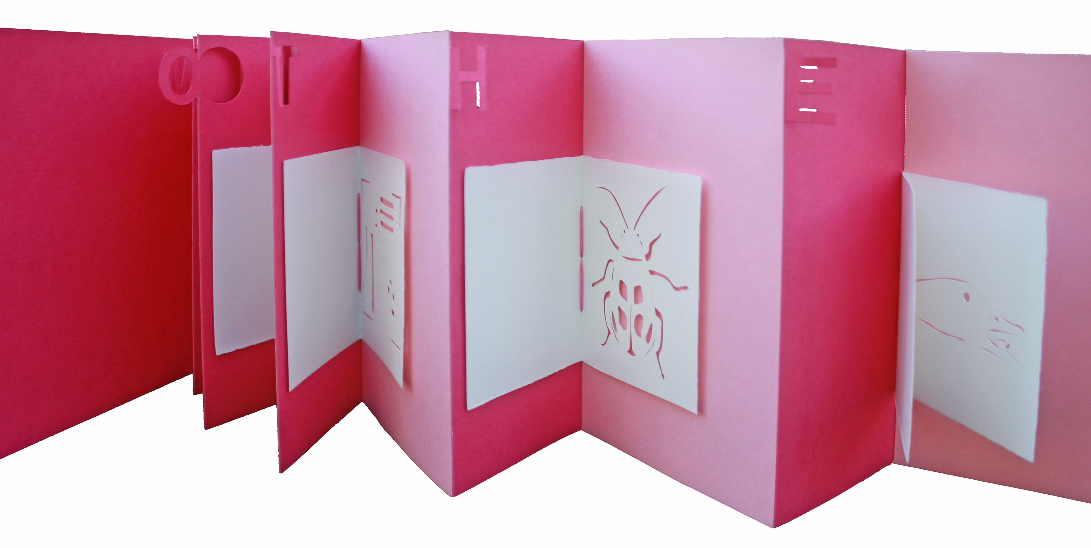 artist's book