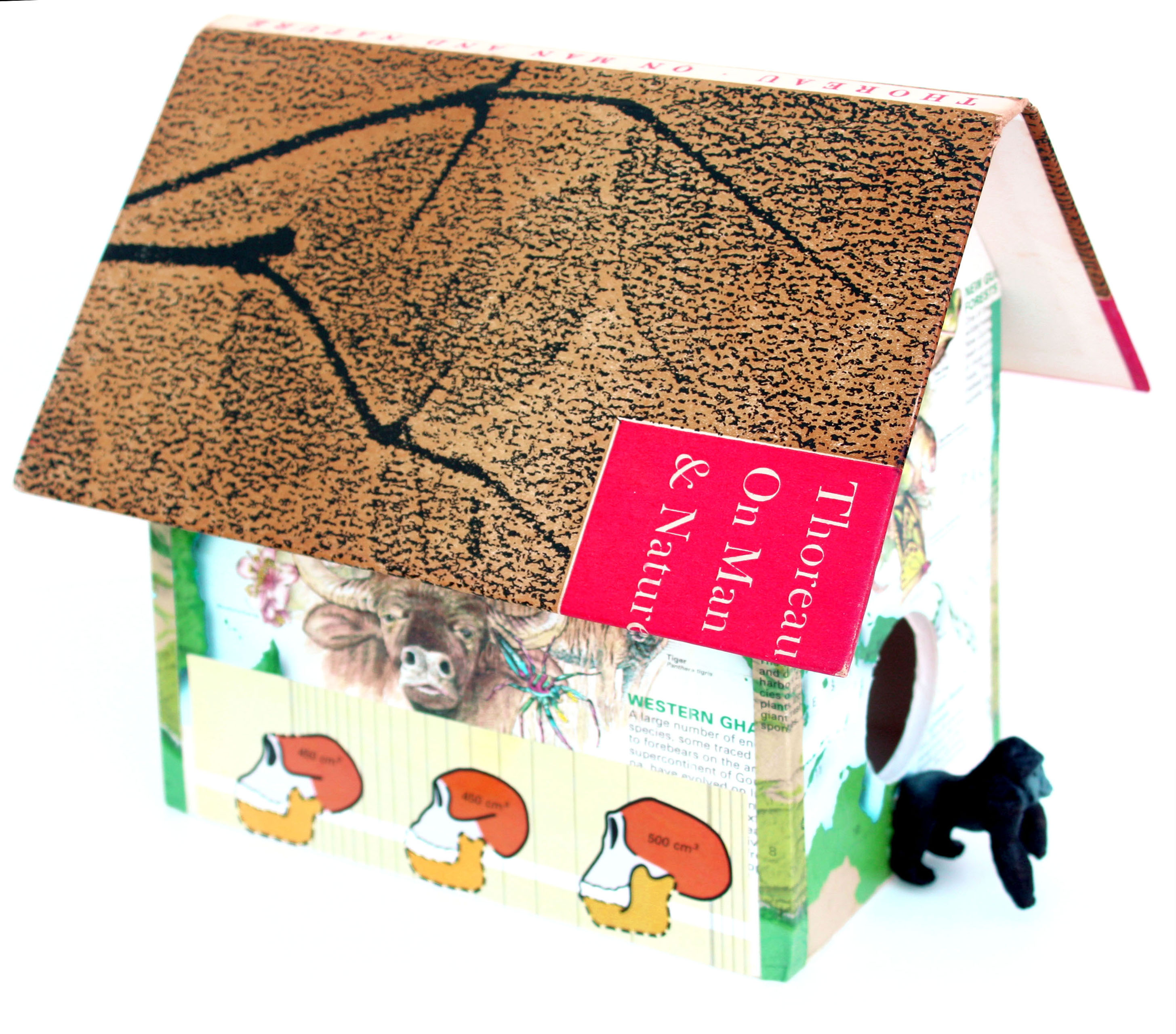 artist's book