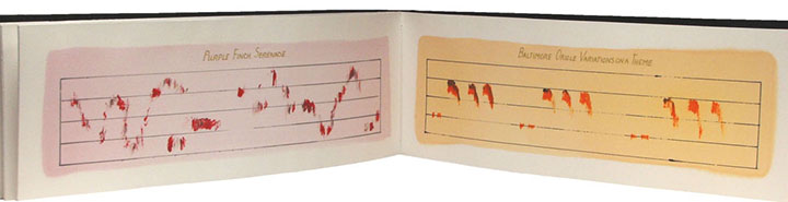 artist's book