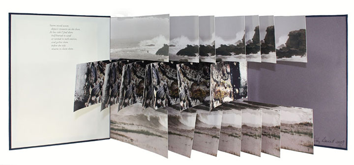artist's book